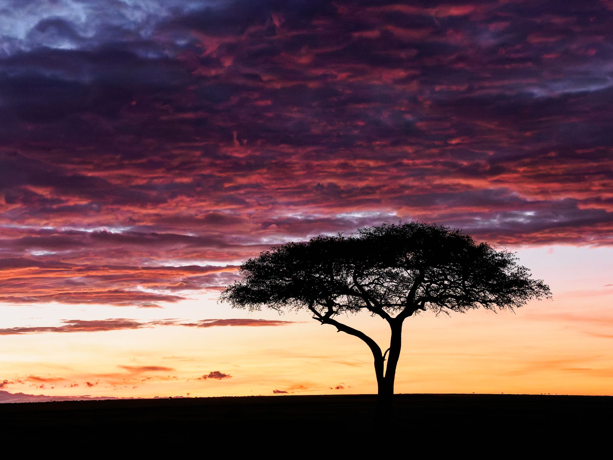 Der richtige Ort für den Sundowner. Kenia